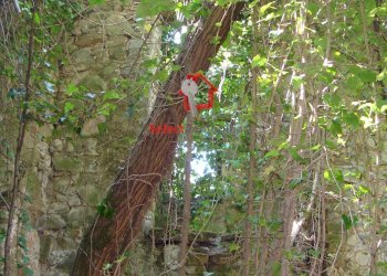 Foto 23 - Rustico Borgo a Mozzano - foto 23