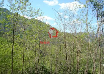 Foto 25 - Rustico Borgo a Mozzano - foto 25