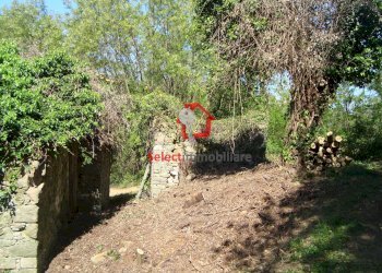 Foto 3 - Rustico Borgo a Mozzano - foto 3