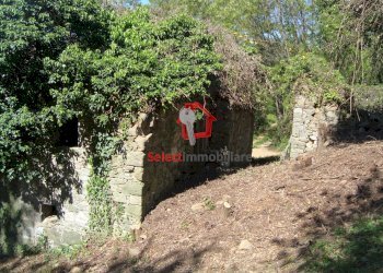 Foto 4 - Rustico Borgo a Mozzano - foto 4