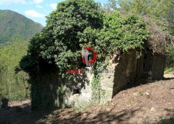 Foto 5 - Rustico Borgo a Mozzano - foto 5