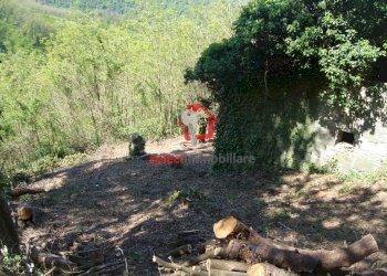 Foto 6 - Rustico Borgo a Mozzano - foto 6