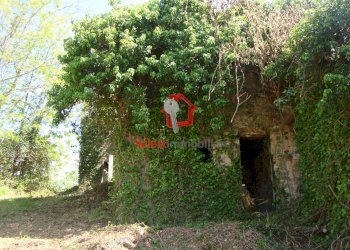 Foto 16 - Rustico Borgo a Mozzano - foto 16