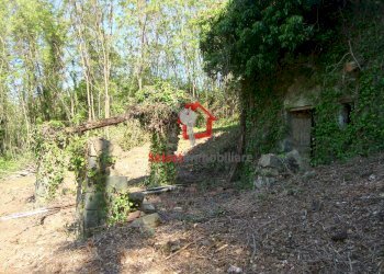 Foto 17 - Rustico Borgo a Mozzano - foto 17