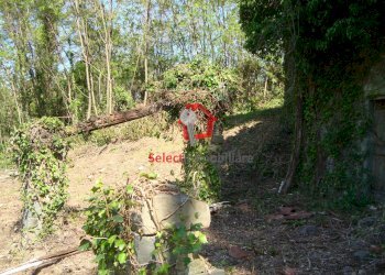 Foto 19 - Rustico Borgo a Mozzano - foto 19