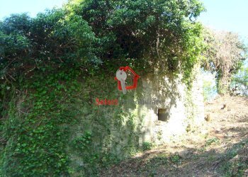 Foto 21 - Rustico Borgo a Mozzano - foto 21