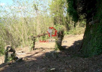 Foto 22 - Rustico Borgo a Mozzano - foto 22