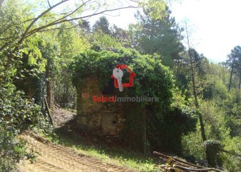 Foto 29 - Rustico Borgo a Mozzano - foto 29