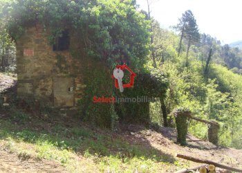 Foto 30 - Rustico Borgo a Mozzano - foto 30