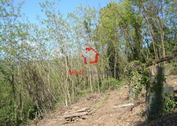 Foto 31 - Rustico Borgo a Mozzano - foto 31