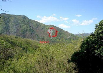 Foto 32 - Rustico Borgo a Mozzano - foto 32