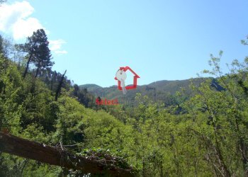 Foto 34 - Rustico Borgo a Mozzano - foto 34