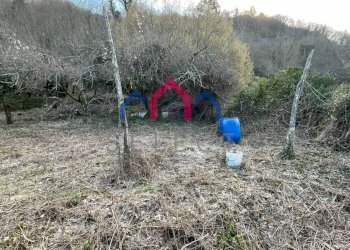 Foto 23 - Casa semi indipendente Borgo a Mozzano - foto 23
