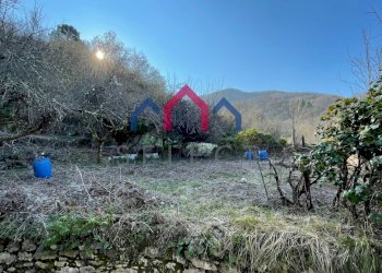 Foto 56 - Casa semi indipendente Borgo a Mozzano - foto 56