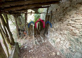 Foto 65 - Casa semi indipendente Borgo a Mozzano - foto 65