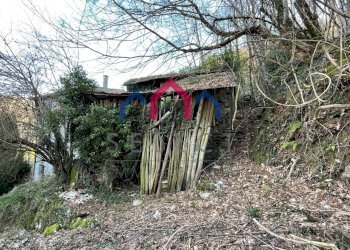 Foto 67 - Casa semi indipendente Borgo a Mozzano - foto 67