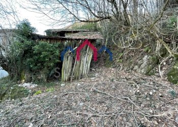 Foto 73 - Casa semi indipendente Borgo a Mozzano - foto 73