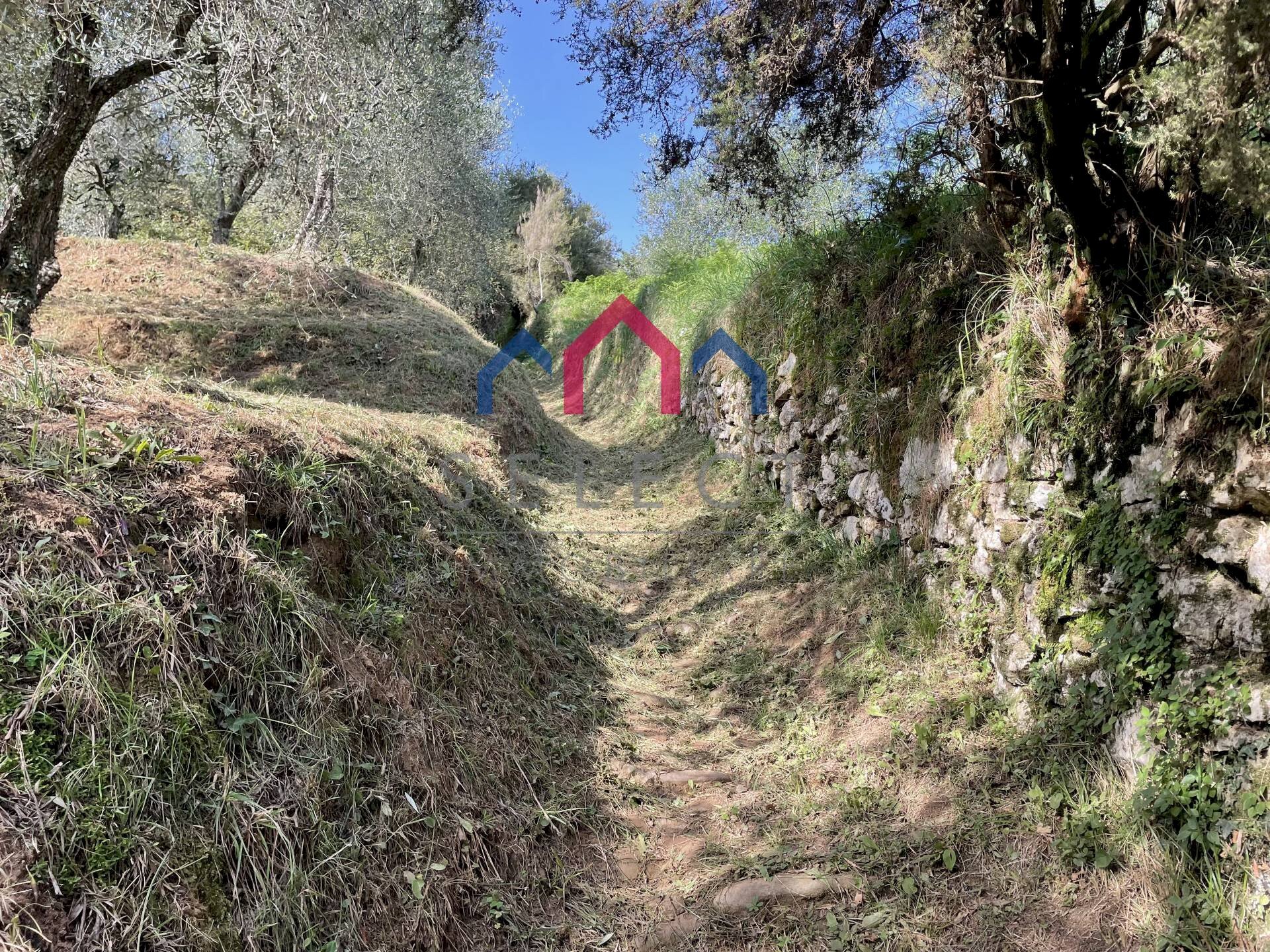 Foto 3 - Rustic Borgo a Mozzano - photo 3