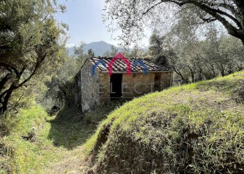 Foto 5 - Rustico Borgo a Mozzano - foto 5