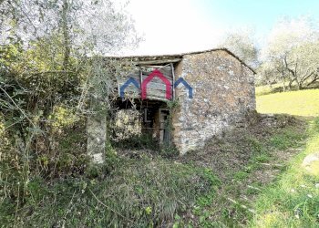 Foto 9 - Rustico Borgo a Mozzano - foto 9