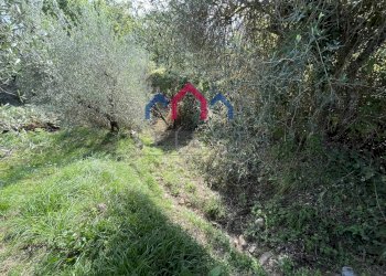 Foto 11 - Rustico Borgo a Mozzano - foto 11