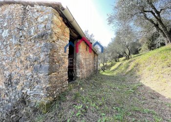 Foto 16 - Rustico Borgo a Mozzano - foto 16