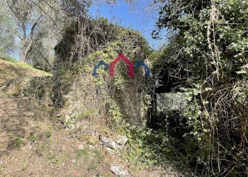 Foto 24 - Rustico Borgo a Mozzano - foto 24