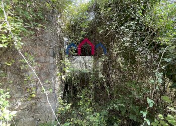 Foto 25 - Rustico Borgo a Mozzano - foto 25