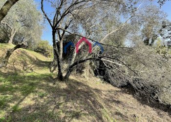 Foto 29 - Rustico Borgo a Mozzano - foto 29