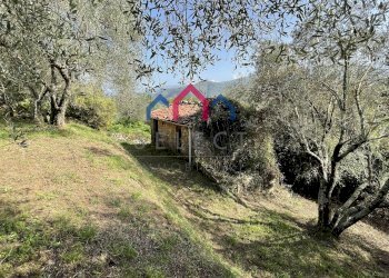 Foto 30 - Rustico Borgo a Mozzano - foto 30