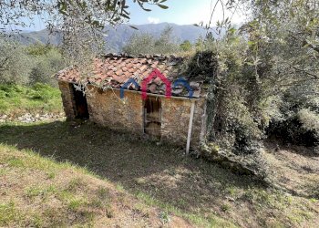 Foto 32 - Rustico Borgo a Mozzano - foto 32