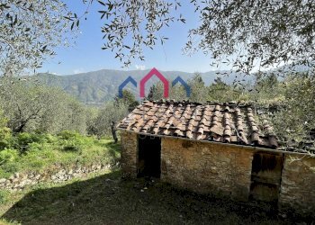 Foto 33 - Rustico Borgo a Mozzano - foto 33