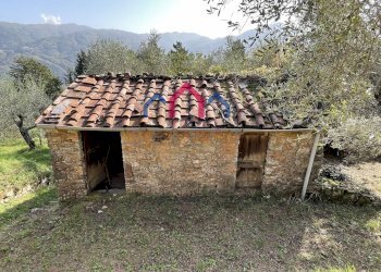 Foto 35 - Rustico Borgo a Mozzano - foto 35