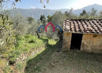 Foto 37 - Rustico Borgo a Mozzano - foto 37