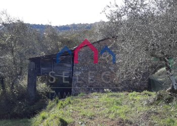 Foto 40 - Rustico Borgo a Mozzano - foto 40