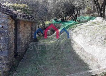 Foto 41 - Rustico Borgo a Mozzano - foto 41