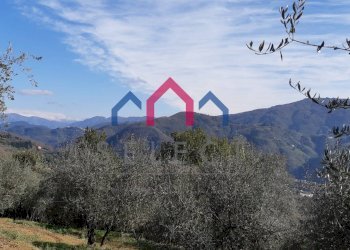 Foto 42 - Rustico Borgo a Mozzano - foto 42