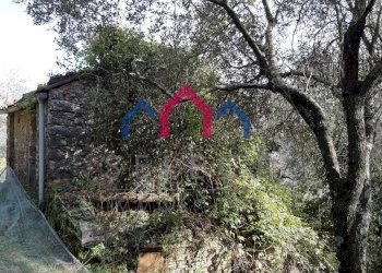 Foto 44 - Rustico Borgo a Mozzano - foto 44