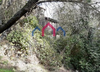 Foto 45 - Rustico Borgo a Mozzano - foto 45