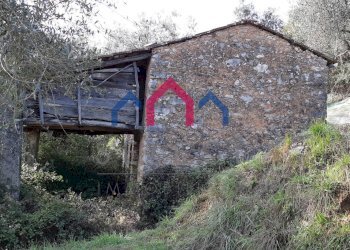 Foto 47 - Rustico Borgo a Mozzano - foto 47