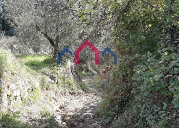 Foto 50 - Rustico Borgo a Mozzano - foto 50