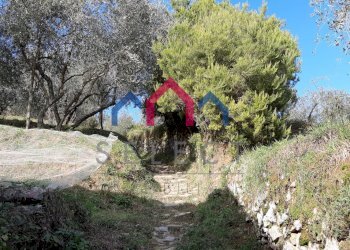 Foto 51 - Rustico Borgo a Mozzano - foto 51