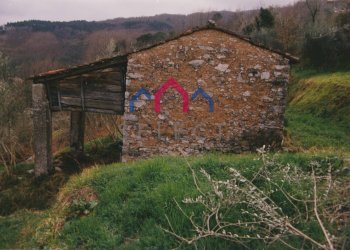 Foto 53 - Rustico Borgo a Mozzano - foto 53