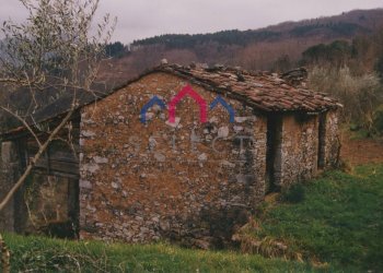 Foto 54 - Rustico Borgo a Mozzano - foto 54