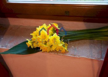 Foto 30 - Agriturismo Fabbriche di Vergemoli - photo 30