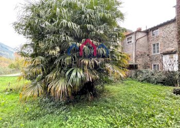 Foto 9 - Appartamento Borgo a Mozzano - foto 9