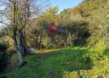 Foto 9 - Rustico Bagni di Lucca - foto 9