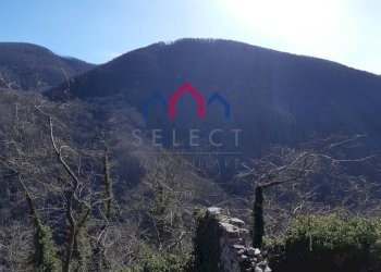 Foto 17 - Trilocale Pescaglia - foto 17