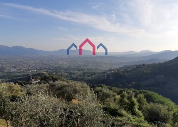 Foto 1 - Casa semi indipendente Capannori - foto 1