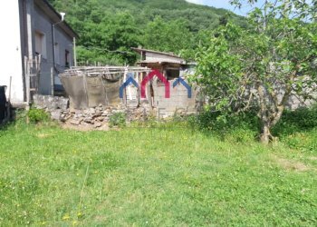 Foto 56 - Casa semi indipendente Borgo a Mozzano - foto 56